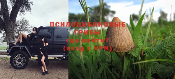 винт Вяземский